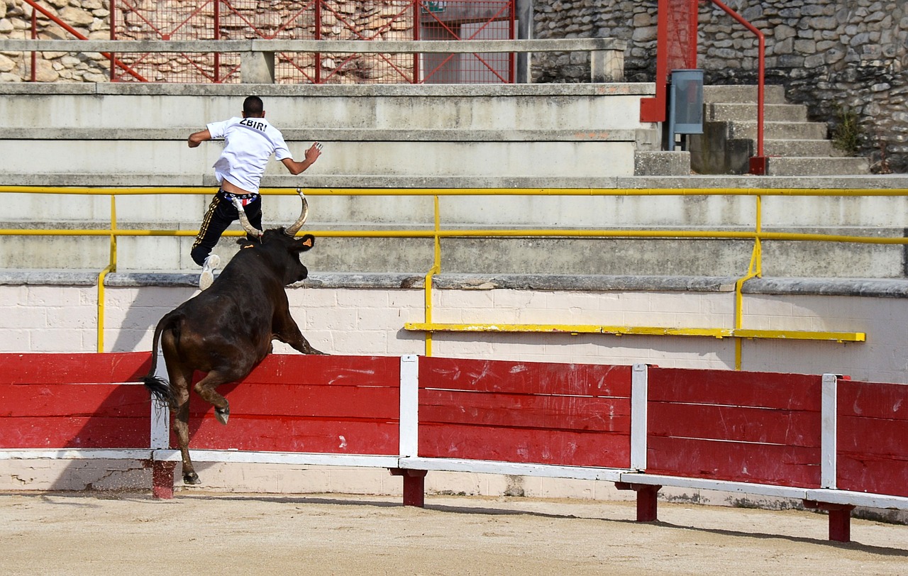 席爾瓦連進