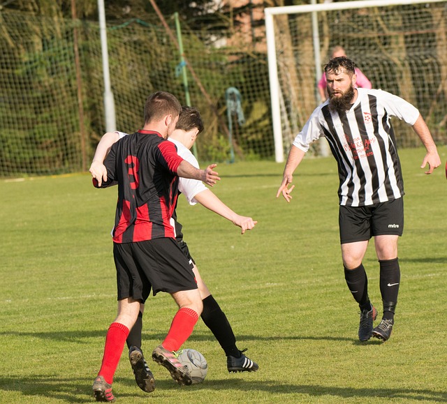 经济中扮演 经济中扮演