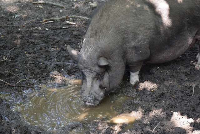 並培育了一 並培育了一