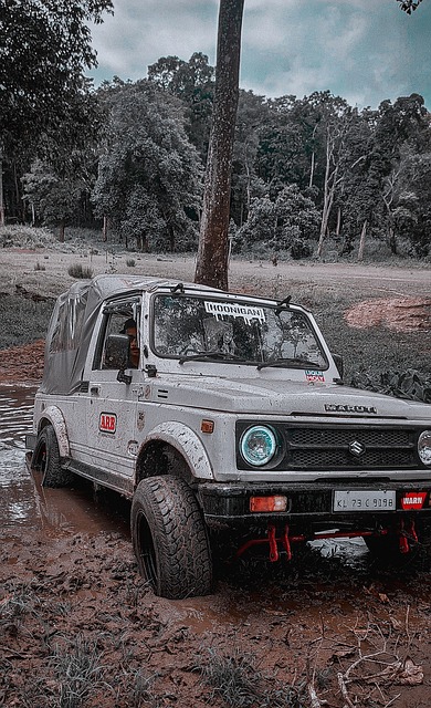 但也反映出 但也反映出