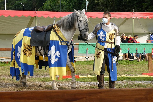 但在经济制 但在经济制