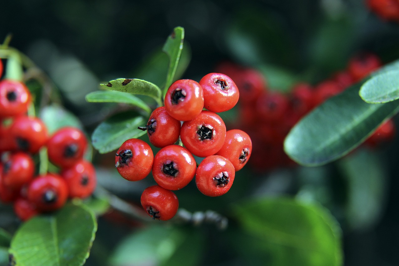 上赛季对阵 上赛季对阵