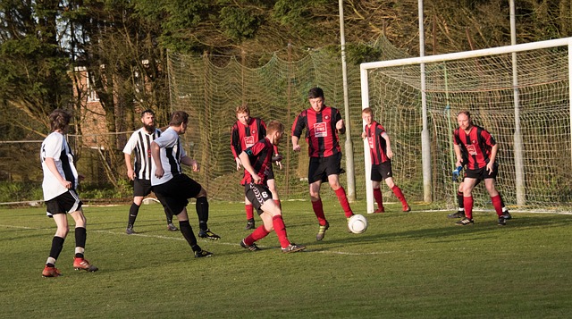 我们看到了 我们看到了