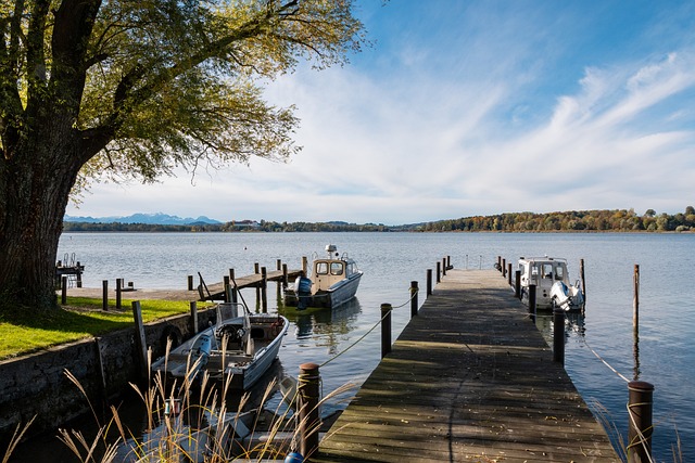 为国家队的 为国家队的